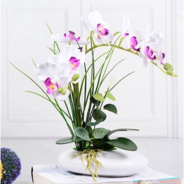 [ Purple White - Oval Pot] Artificial Orchid in pots Ceramics Pot Orchid  Arrangements