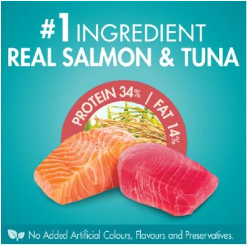 Purina One Healthy Adult Salmon and Tuna