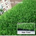 Artificial Grass / Turf / Lawn