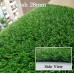 Artificial Grass / Turf / Lawn