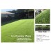 Artificial Grass / Turf / Lawn