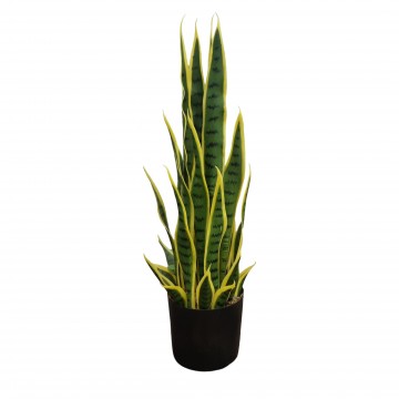 Snake Plant (Artificial Plant Code :P043)