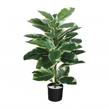 Ficus Elastica (Artificial Plant Code :P045)