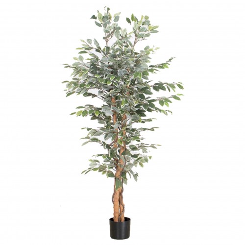 Artificial Plant (60cm to 220cm)