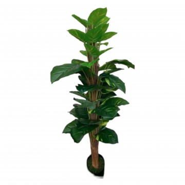 Philodendron Yellow Edge (Artificial Plant Code :P066)