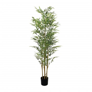 Potted Bamboo (Artificial Plant Code :BBPL )
