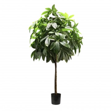 Money Tree (Artificial Plant Code :P019)