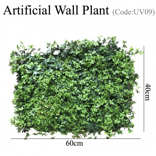 Wall Plant Decor