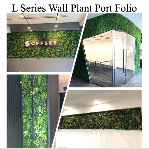 Wall Plant Decor