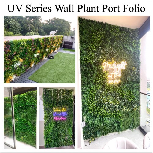 Wall Plant Decor