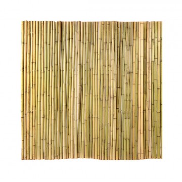 Outdoor Bamboo Fence (Natural)