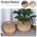 Basket Planter (With stand / No Stand)