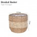 Basket Planter (With stand / No Stand)