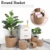 Basket Planter (With stand / No Stand)