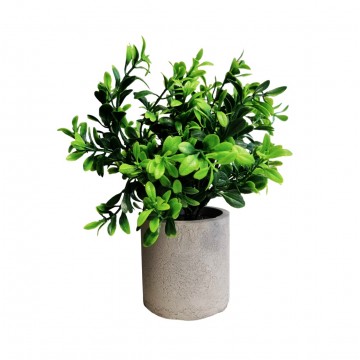 Artificial Mini Table Plant (Type R)