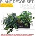 Plant Decor Set