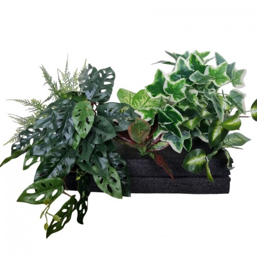 Plant Decor Set