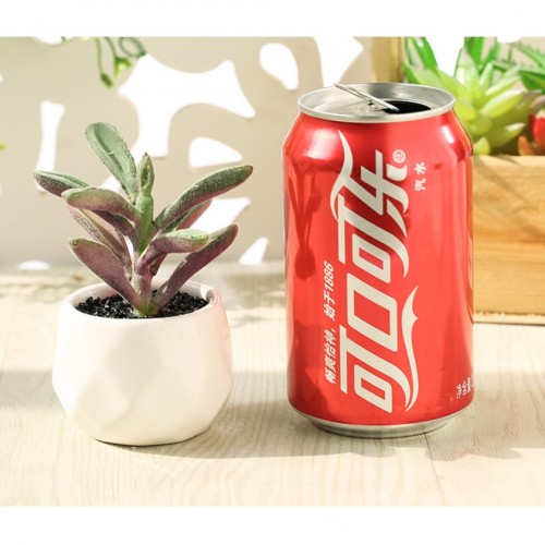 Artificial Succulent Plant / Mini Potted Plant