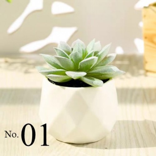 Artificial Succulent Plant / Mini Potted Plant