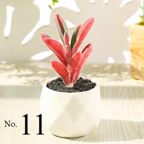 Artificial Succulent Plant / Mini Potted Plant