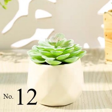 Artificial Succulent Plant (No.12)