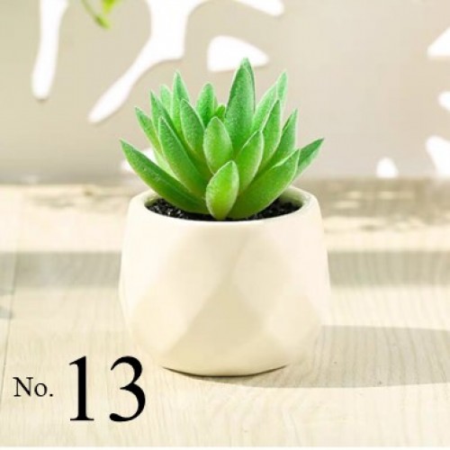 Artificial Succulent Plant / Mini Potted Plant