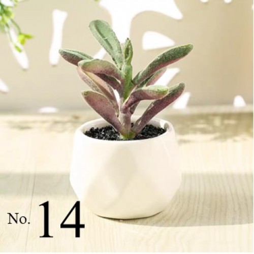 Artificial Succulent Plant / Mini Potted Plant