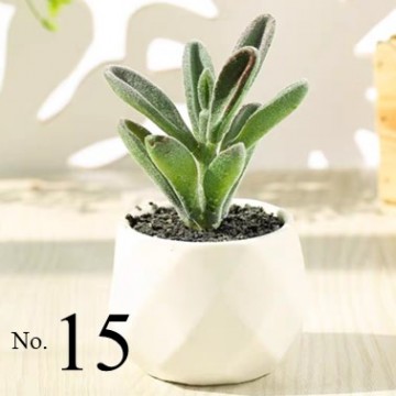 Artificial Succulent Plant (No.15)