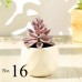 Artificial Succulent Plant / Mini Potted Plant