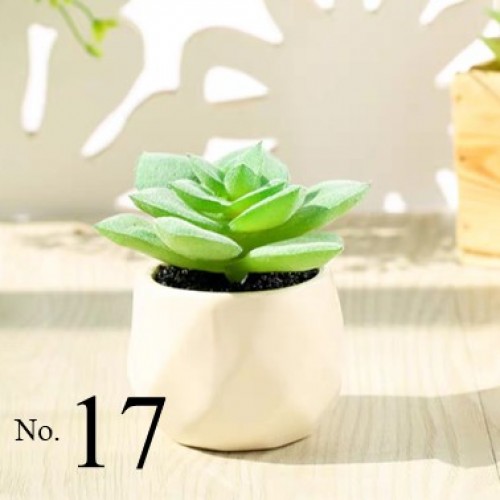 Artificial Succulent Plant / Mini Potted Plant