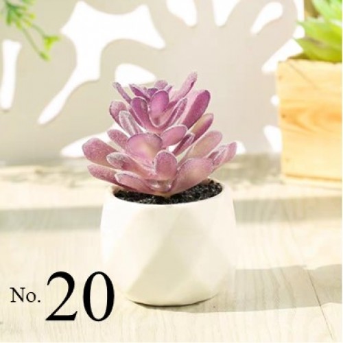 Artificial Succulent Plant / Mini Potted Plant