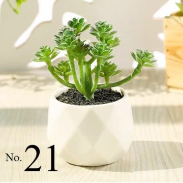 Artificial Succulent Plant (No.21)