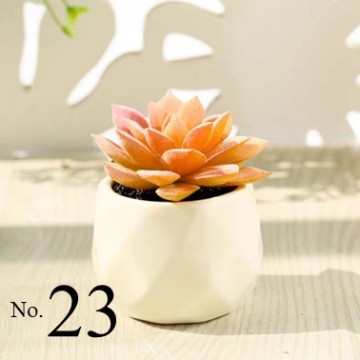 Artificial Succulent Plant (No.23)