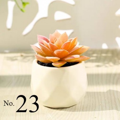 Artificial Succulent Plant / Mini Potted Plant