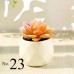 Artificial Succulent Plant / Mini Potted Plant