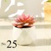 Artificial Succulent Plant / Mini Potted Plant