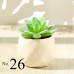 Artificial Succulent Plant / Mini Potted Plant