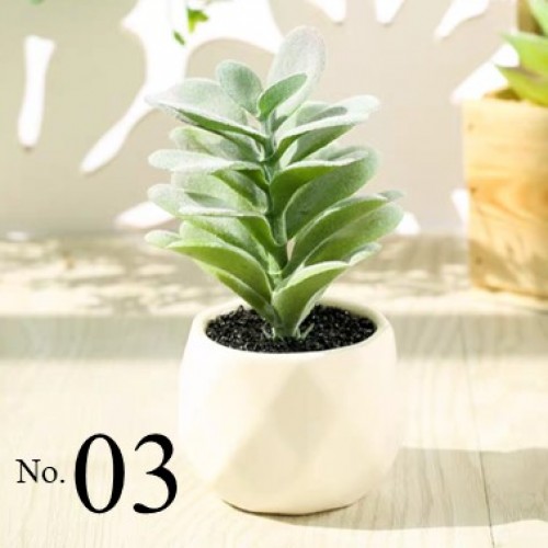 Artificial Succulent Plant / Mini Potted Plant