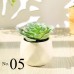 Artificial Succulent Plant / Mini Potted Plant