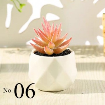 Artificial Succulent Plant (No.06)