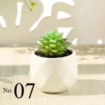 Artificial Succulent Plant (No.07)