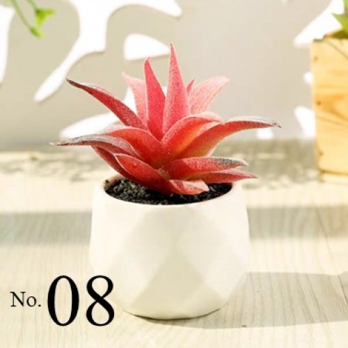 Artificial Succulent Plant / Mini Potted Plant