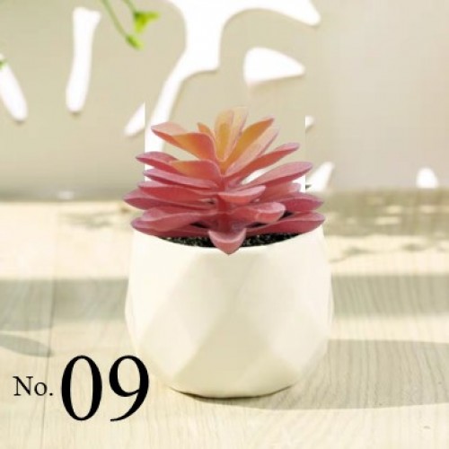 Artificial Succulent Plant / Mini Potted Plant