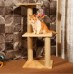 Cat Scratching Pole