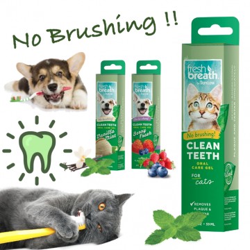 [TOOTH GEL NO NEED BRUSHING] Dog Cat Kitten Puppy Toothpaste Tooth Gel Cleaning Plaque Medical Brush