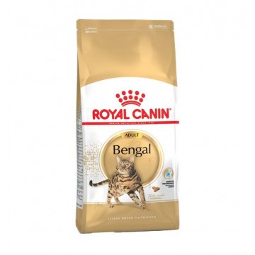Royal Canin Adult Bengal Dry Cat Food 2kg